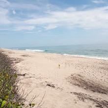 Sebastian Inlet State Park