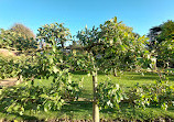 Bridge End Garden