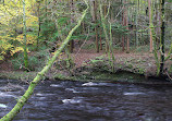 Etherow Country Park