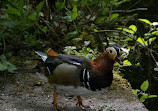 Etherow Country Park