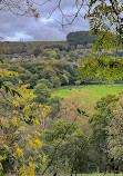 Etherow Country Park