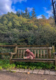 Etherow Country Park