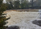 Etherow Country Park