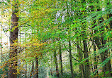 Etherow Country Park