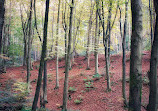 Etherow Country Park