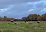 Reddish Vale Country Park