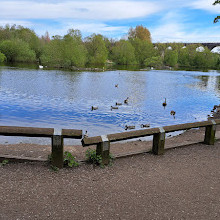 پارک کشوری Reddish Vale