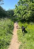 Reddish Vale Country Park