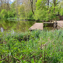 پارک کشوری Reddish Vale