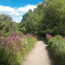 Reddish Vale Country Park