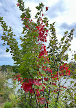 Lake Laurentian Conservation Area