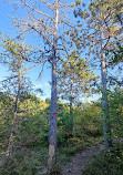 Lake Laurentian Conservation Area