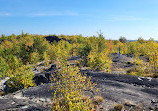 Lake Laurentian Conservation Area