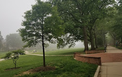 McKeldin Mall