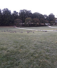 McKeldin Mall