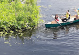 Point Pelee Ulusal Parkı