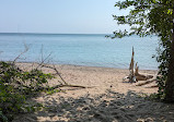 Point Pelee National Park