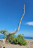 Point Pelee National Park