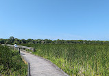 Point Pelee National Park