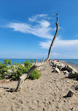 Point Pelee National Park