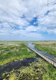 Point Pelee National Park