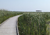 Point Pelee National Park