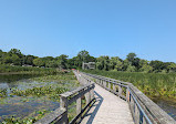 Point Pelee National Park