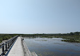 Point Pelee National Park