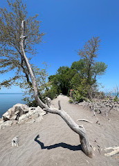 Parque Nacional Point Pelee