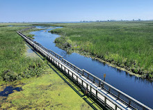 Point Pelee National Park