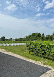 Pelee Island Winery