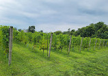 Pelee Island Winery