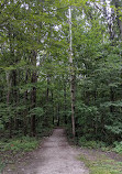 Kopegaron Woods Conservation Area