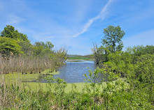 Area di conservazione della palude di Hillman