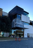Museum of Contemporary Art Sydney