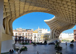 Setas de Sevilla