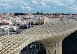 Setas de Sevilla