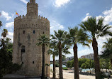 Cruceros Torre del Oro