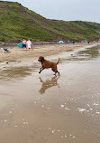 Cayton Bay Beach