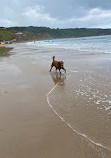 Cayton Bay Beach