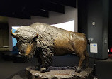 Bullock Texas State History Museum