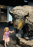 Bullock Texas State History Museum