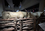 Bullock Texas State History Museum