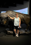 Bullock Texas State History Museum