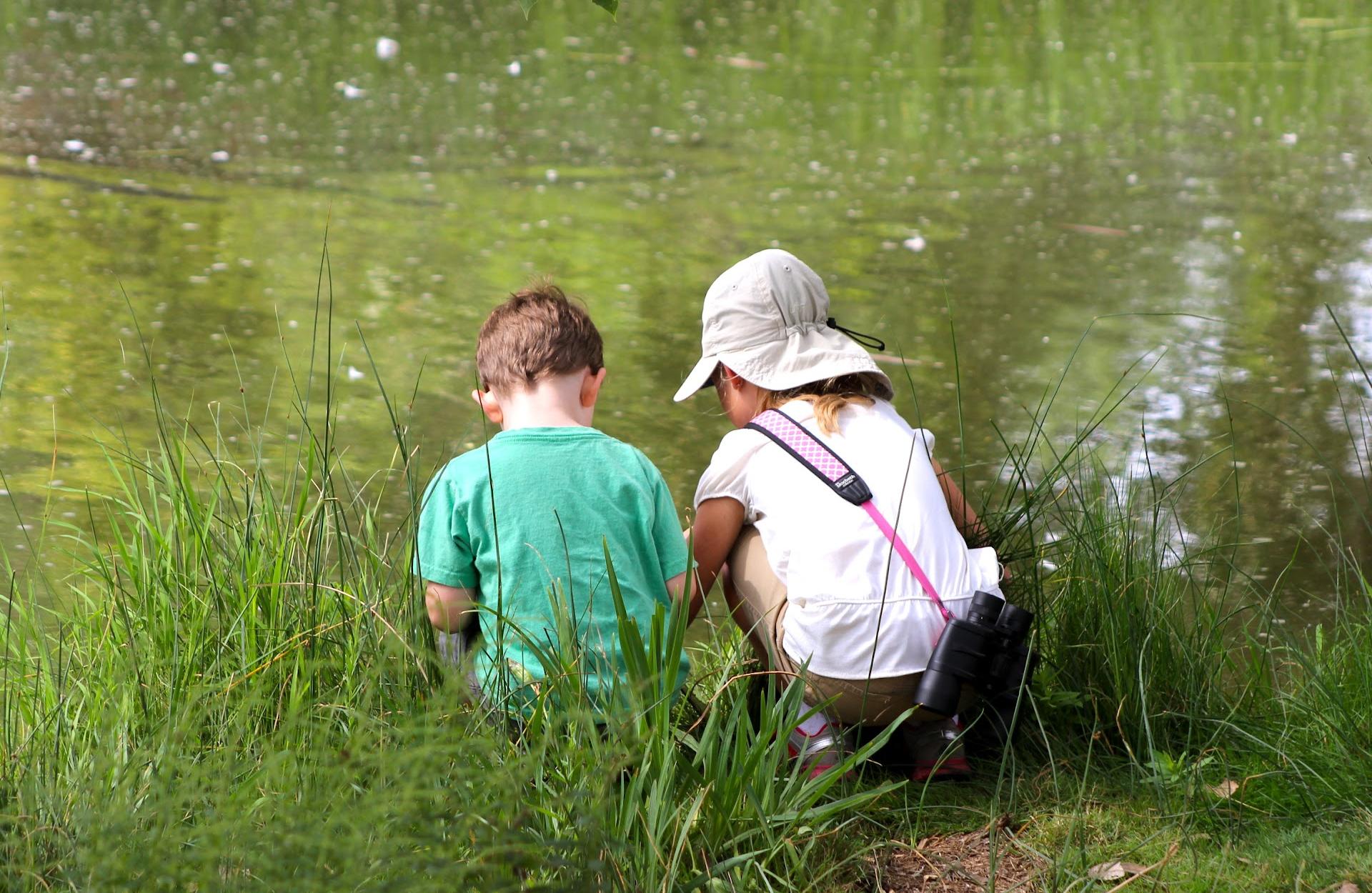 National Environmental Education Foundation