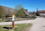 موزه روباز در کیکبرگ
