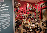 The Steinhardt Museum of Natural History