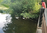 Ruthven Nature Area