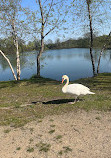 Gallup Park