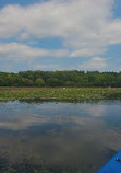 Gallup Park